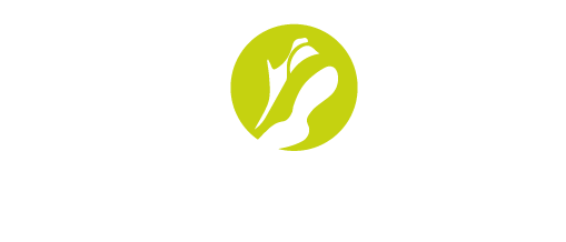 Culture and entertainment about footwear universe