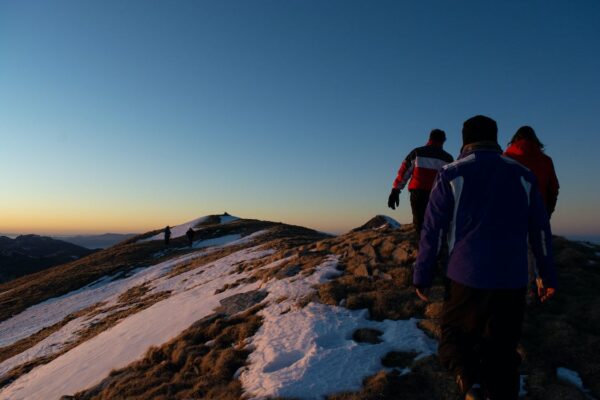 The perfect companion for your mountain adventure