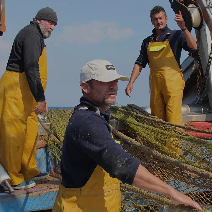 ecoalf | shoestechnologies 