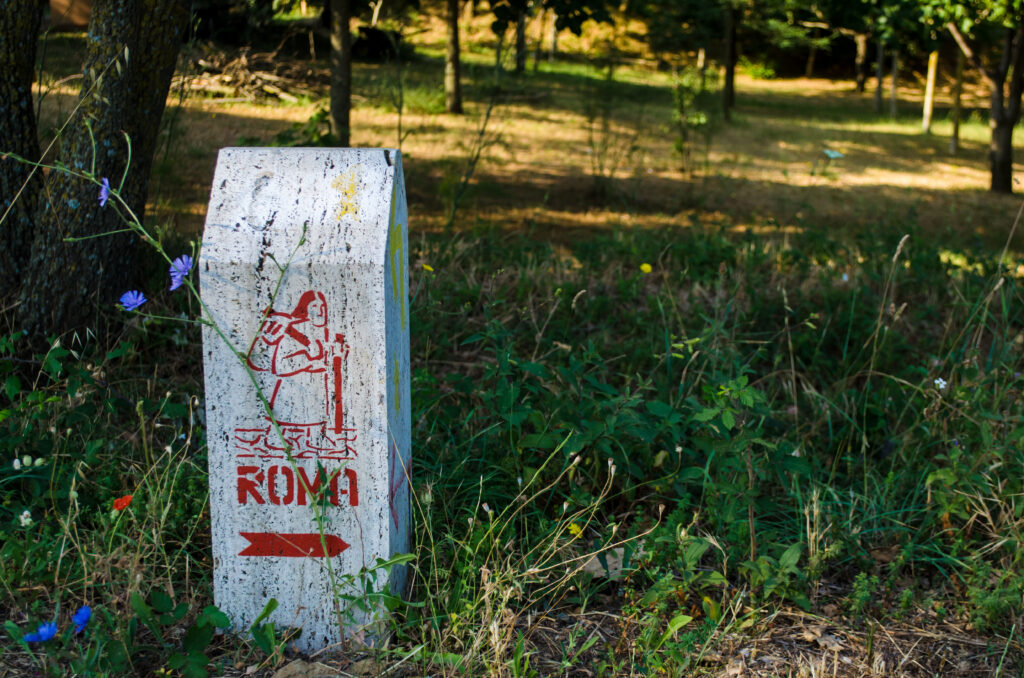 Francigena | shoestechnologies 