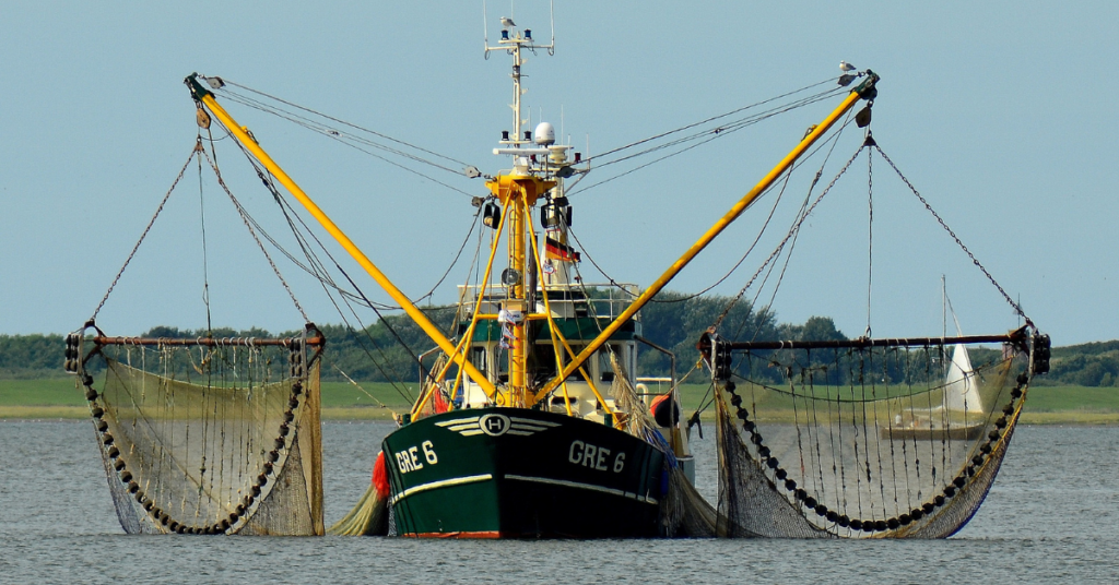 Fisherman Shoes: Navigating Between Style and Safety with Essential Footwear for Sea Farers fisherman shoes | shoestechnologies