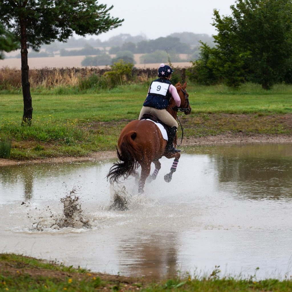 PARLANTI: The Rome-Based Boot Shop That Rose to Equestrian Prominence in 1987 Endurance - Photo credit:Kev, Pixabay