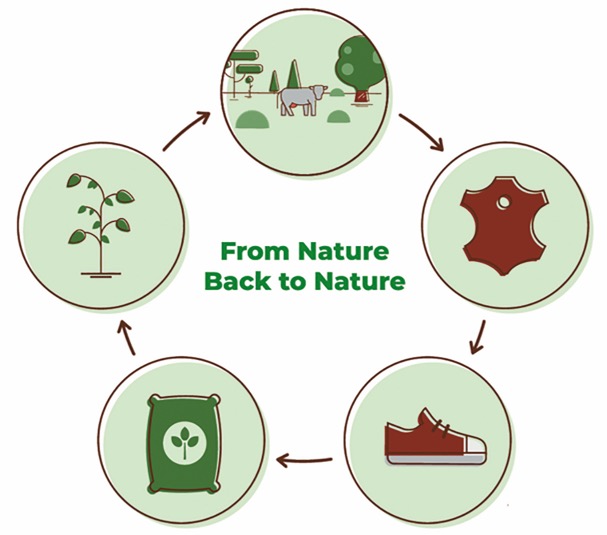 leather - from nature to nature | shoestechnologies