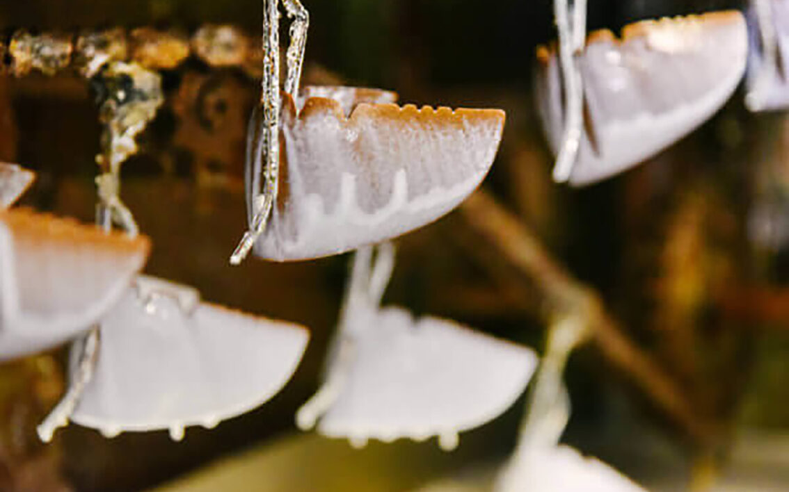  reinforcements for footwear | shoestechnologies  