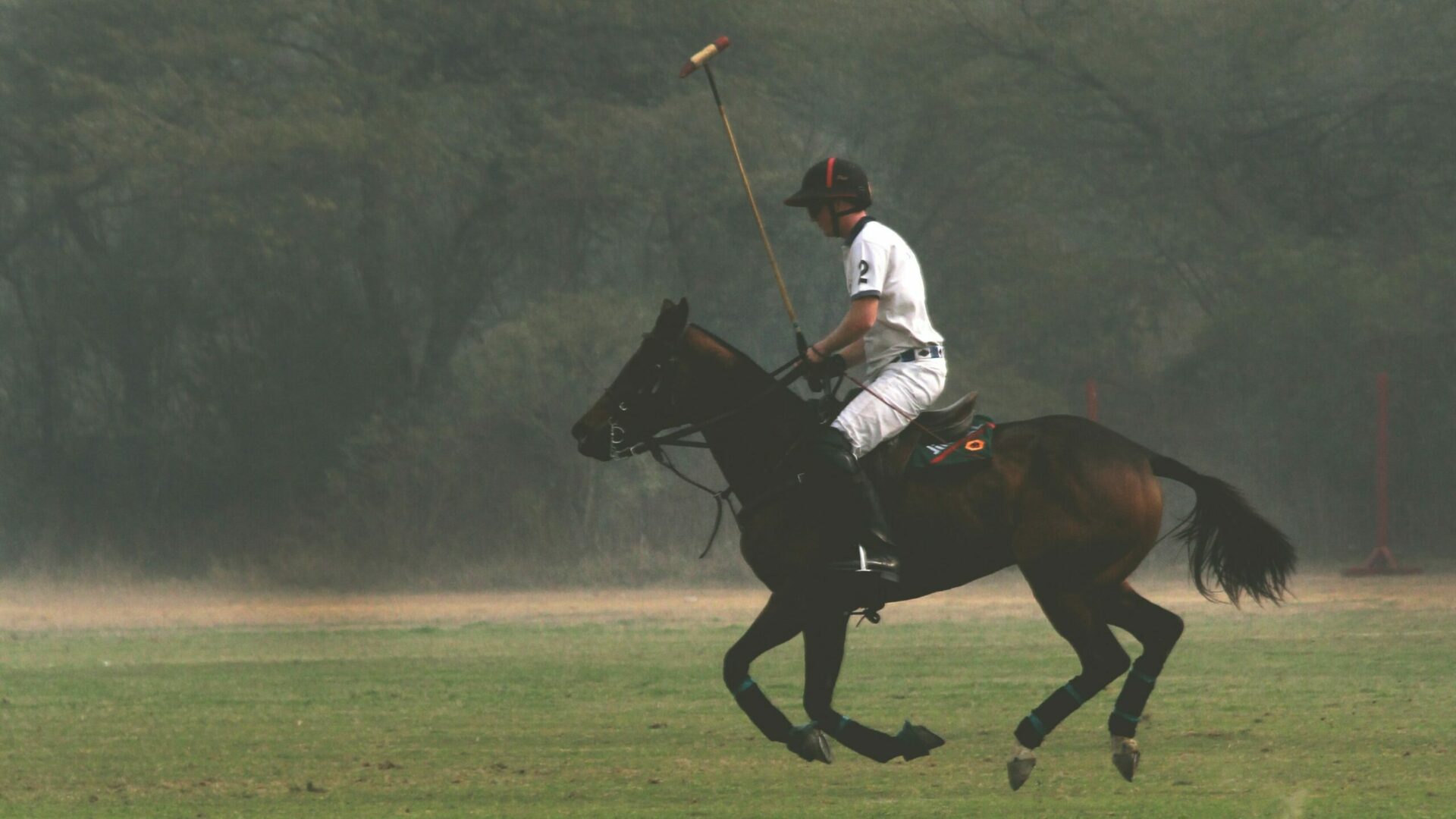 Polo boots | shoestechnologies 