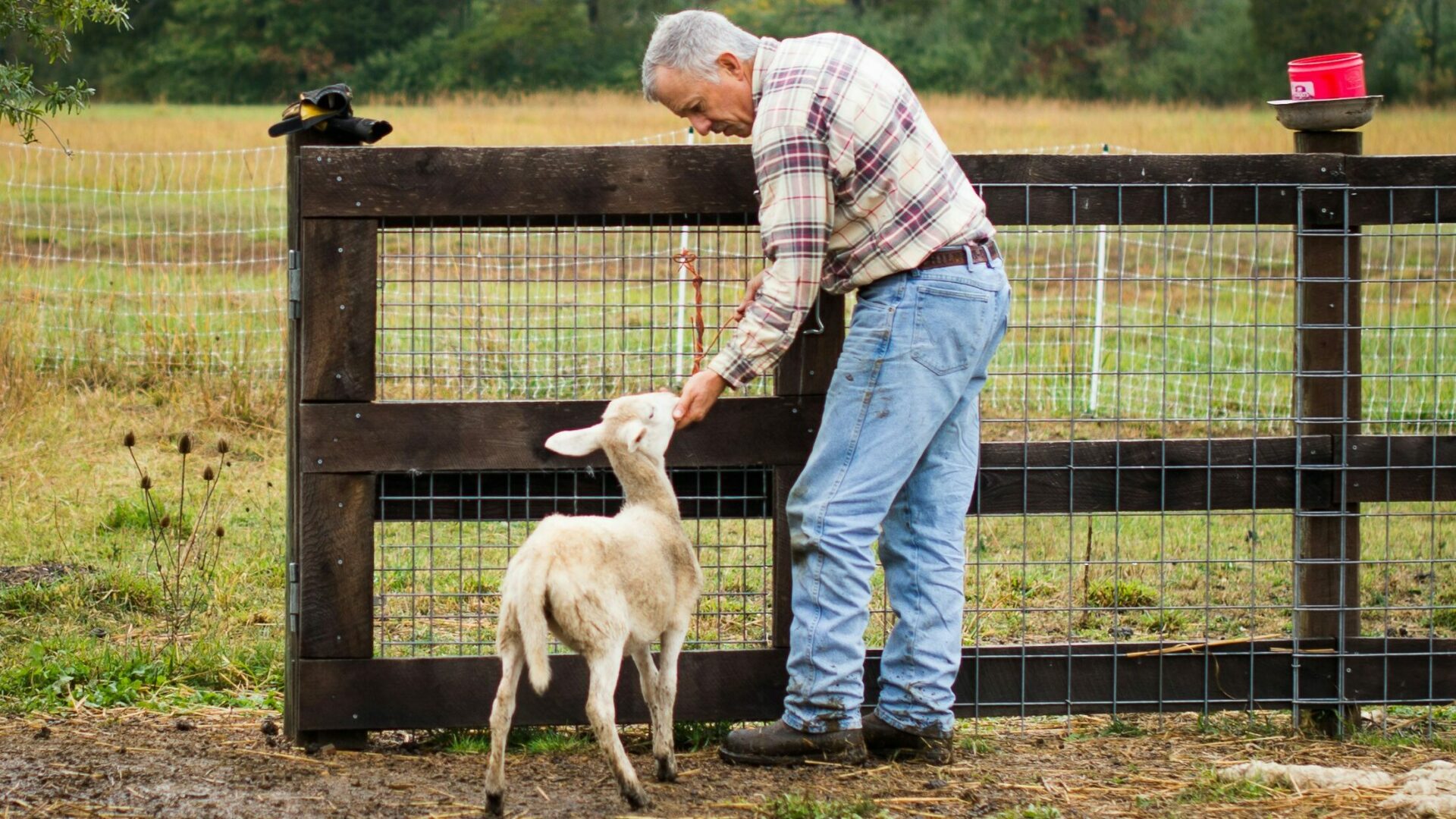 farmers | shoestechnologies 