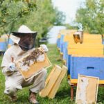 The amazing World to Bee: We put on the Beekeeper's Shoes